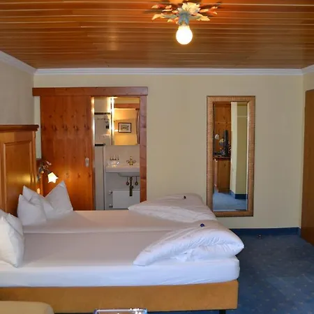 Alpenresi Guest house 3*